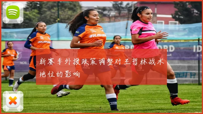 新赛季外援政策调整对王哲林战术地位的影响