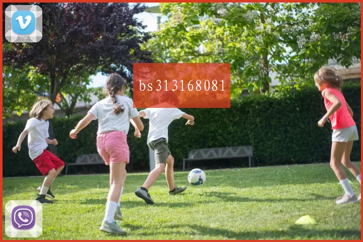 bs313168081