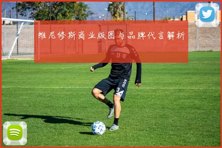 维尼修斯商业版图与品牌代言解析
