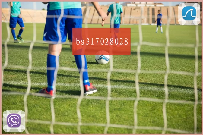 bs317028028